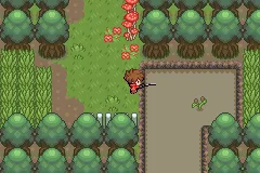 Pokemon Unbound Game ScreenShot 26