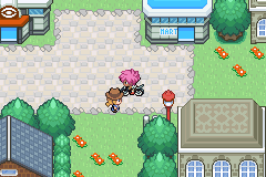 Pokemon Unbound Game ScreenShot 40